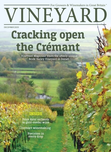 Vineyard – December 2025 Cover