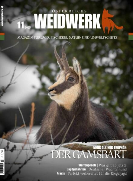 Weidwerk – November 2025 Cover