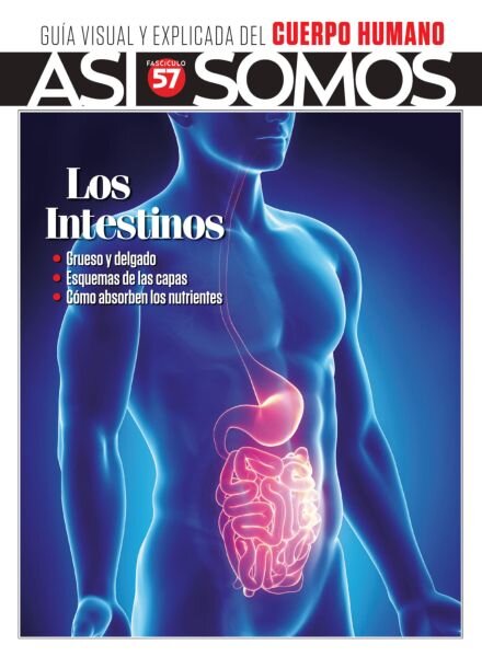 Asi Somos El cuerpo humano – Diciembre 2025 Cover