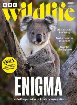 BBC Wildlife – January 2026