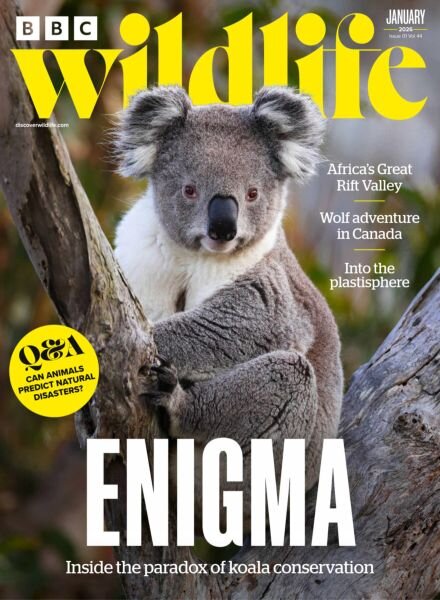 BBC Wildlife – January 2026 Cover
