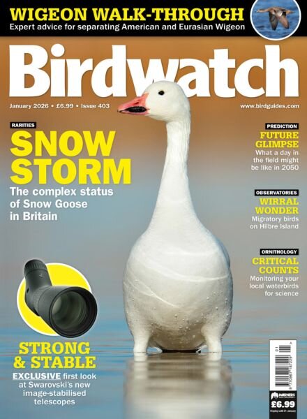 Birdwatch UK – January 2026 Cover