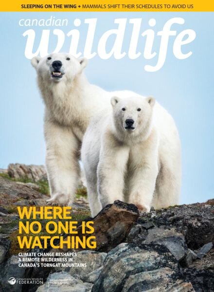 Canadian Wildlife – January-February 2026 Cover