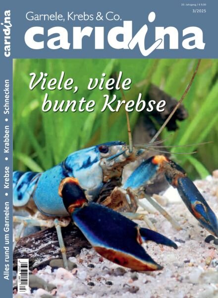 Caridina Magazin – Nr 3 2025 Cover