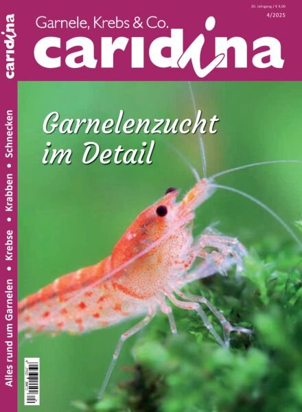 Caridina Magazin – Nr 4 2025 Cover