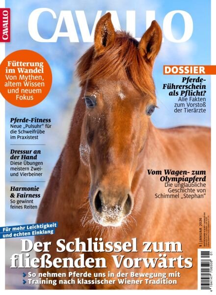 Cavallo – Januar 2026 Cover