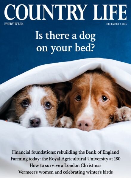 Country Life UK – December 3 2025 Cover