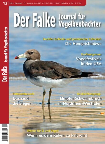 Der Falke Journal fur Vogelbeobachter – Dezember 2025 Cover