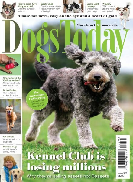 Dogs Today UK – Issue 375 2025 Cover