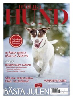 Harliga Hund – November 2025