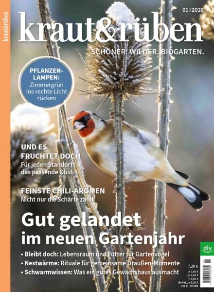 Kraut&Ruben – Januar 2026 Cover