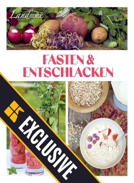 LandIDEE – 27 Dezember 2025 Cover