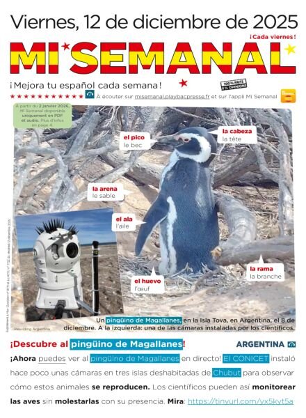 Mi Semanal – 12 Diciembre 2025 Cover