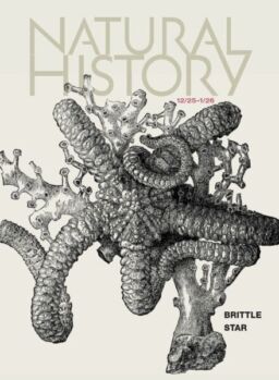 Natural History – December 2025-January 2026