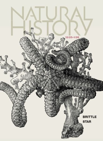 Natural History – December 2025-January 2026 Cover