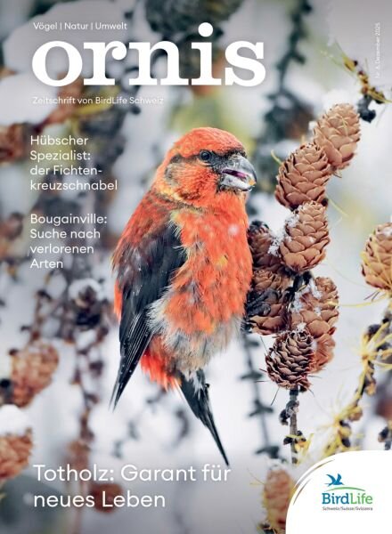 Ornis – Dezember 2025 Cover