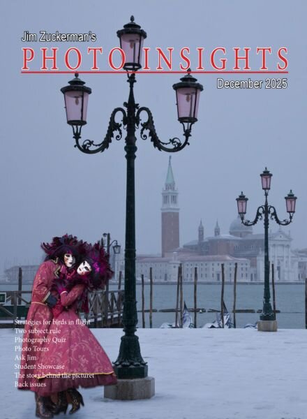 Photo Insights – December 2025 Cover