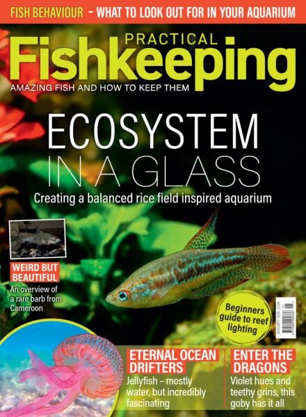 Practical Fishkeeping – January 2026 Cover
