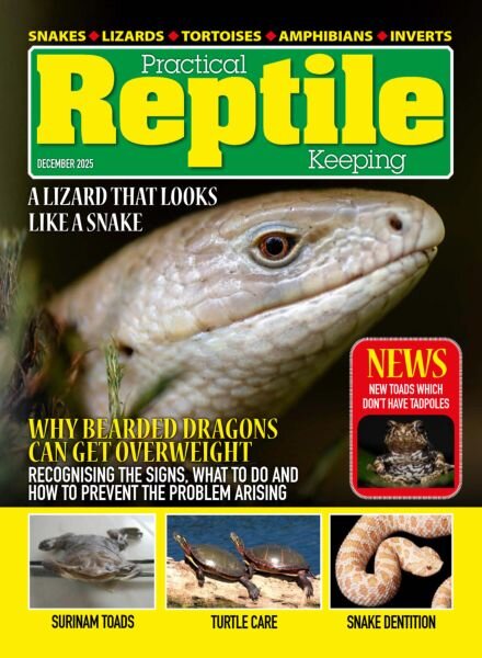 Practical Reptile Keeping – December 2025 Cover