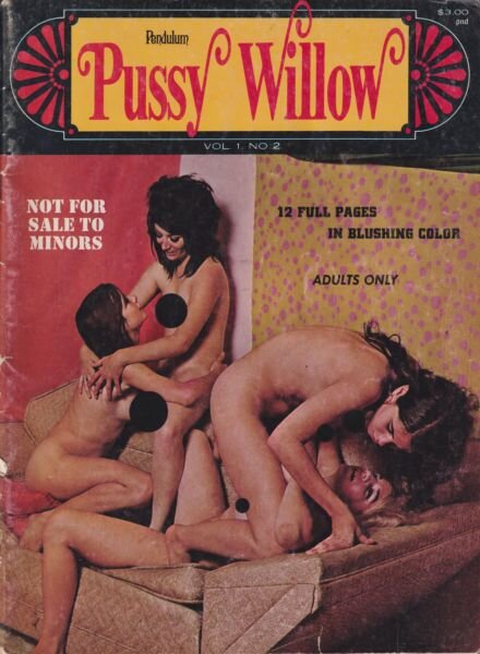 Pussy Willow – Vol 1 N 2 December 1969 – January 1970 Cover