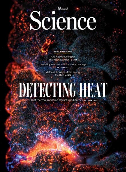 Science – December 11 2025 Cover
