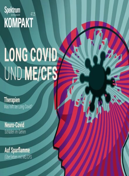 Spektrum Kompakt – 24 November 2025 Cover