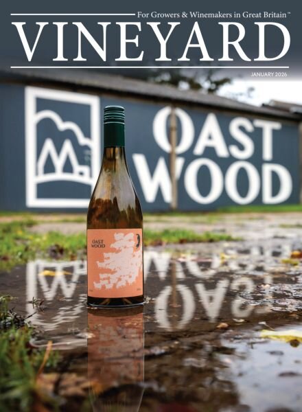 Vineyard – January 2026 Cover