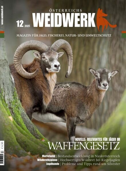 Weidwerk – Dezember 2025 Cover