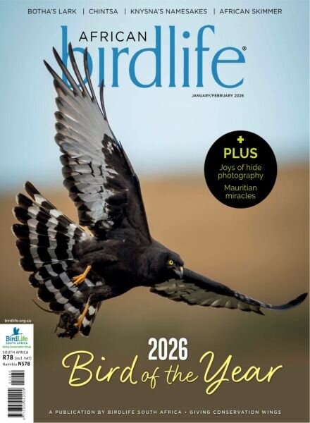 African Birdlife – January-February 2026 Cover