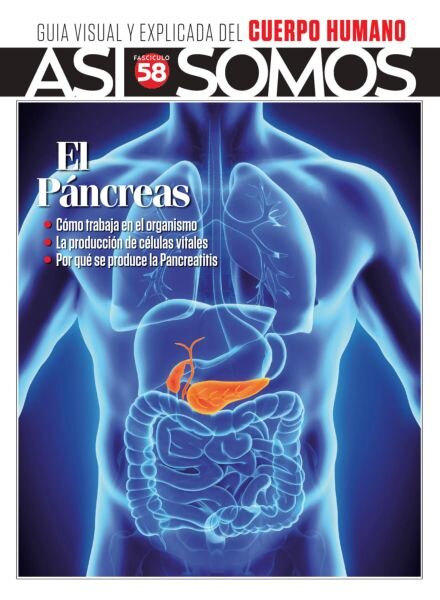 Asi Somos El cuerpo humano – Enero 2026 Cover
