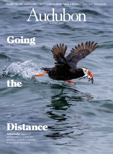 Audubon Magazine – Winter 2025 Cover