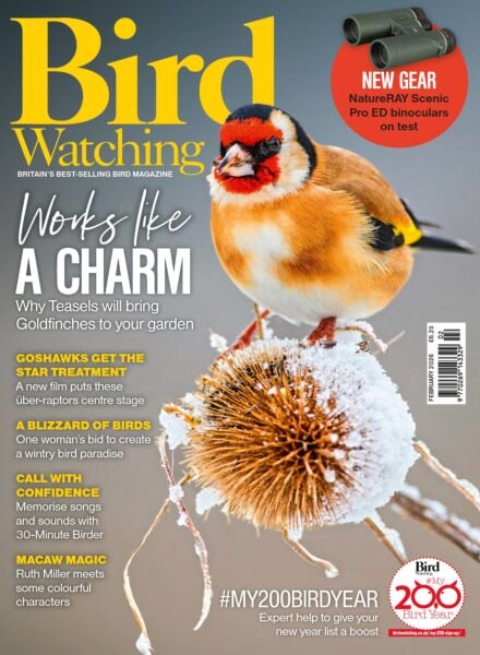 Bird Watching UK – February 2026 Cover