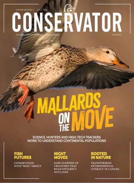 Conservator – Fall 2025 Cover