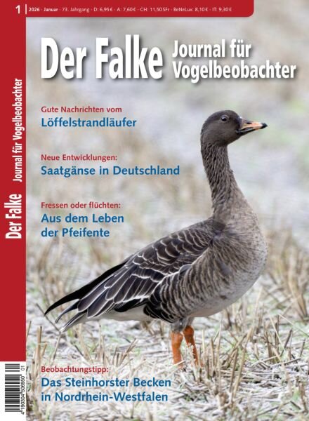 Der Falke Journal fur Vogelbeobachter – Januar 2026 Cover