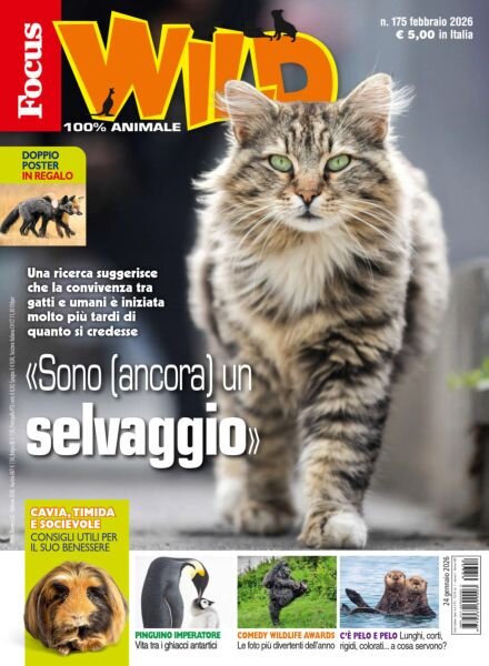 Focus Wild – Febbraio 2026 Cover