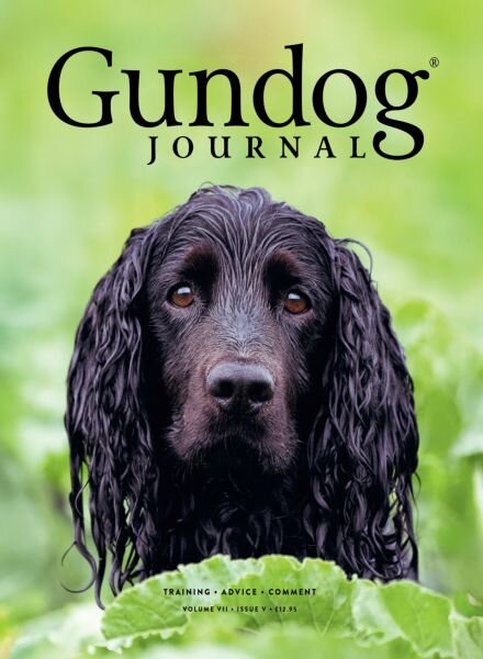 Gundog Journal – Volume VIII Issue V 2026 Cover