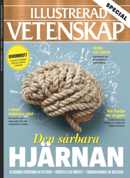 Illustrerad Vetenskap Special – 11 Januari 2026 Cover
