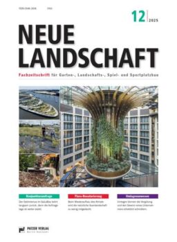 Neue Landschaft – Dezember 2025