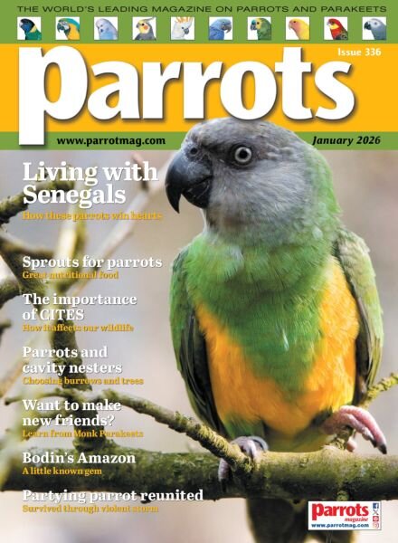 Parrots – January 2026 Cover