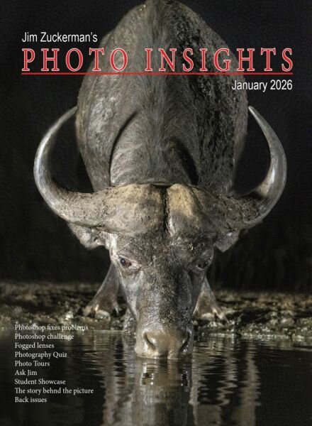Photo Insights – January 2026 Cover