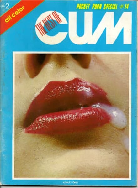 Pocket Porn Special – n 14 Cover
