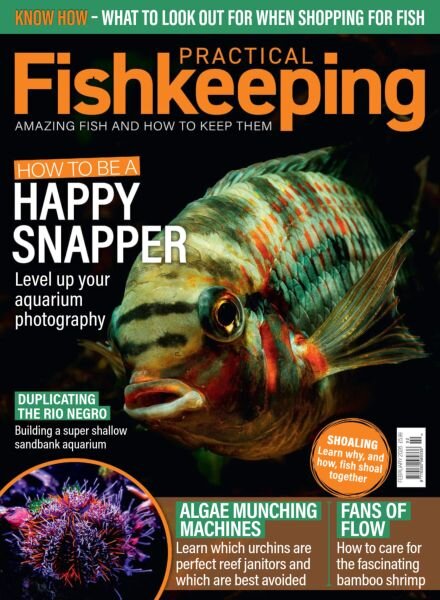 Practical Fishkeeping – February 2026 Cover