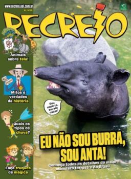 Recreio – 2 Janeiro 2026