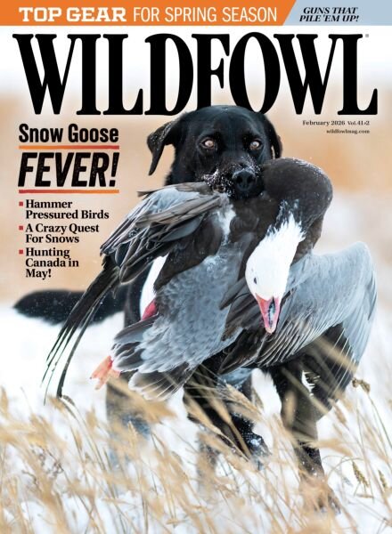 Wildfowl – February 2026 Cover