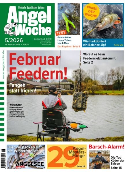 Angel Woche – 13 Februar 2026 Cover