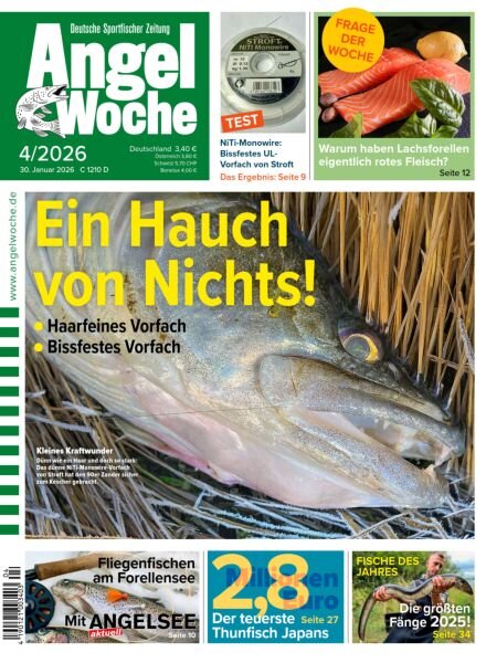 Angel Woche – 30 Januar 2026 Cover