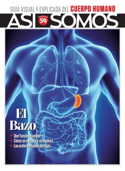 Asi Somos El cuerpo humano – Febrero 2026 Cover