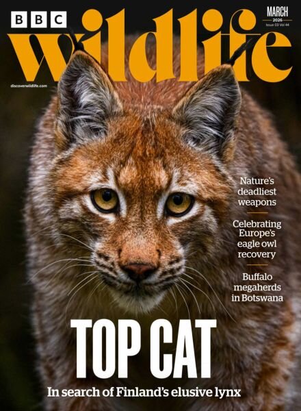 BBC Wildlife – March 2026 Cover
