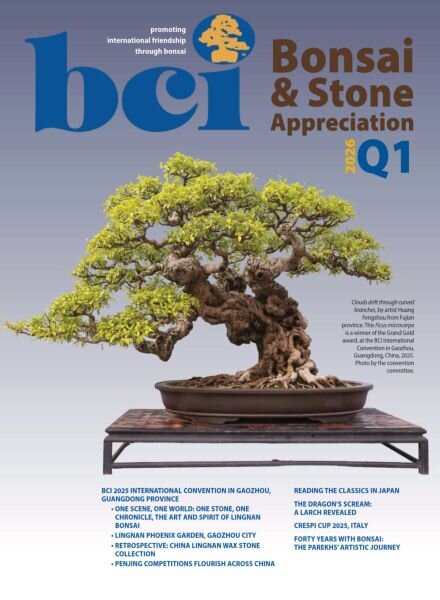 BCI Bonsai & Stone Appreciation Magazine – Volume 65 Number 1 Q1 2026 Cover