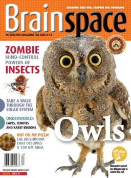 Brainspace – Fall 2018
